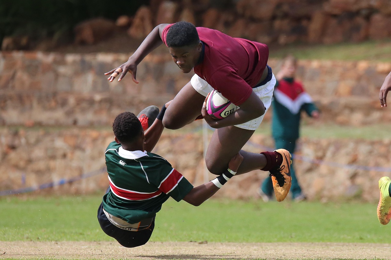 无嘴黄骆驼：涿州代理注册学校