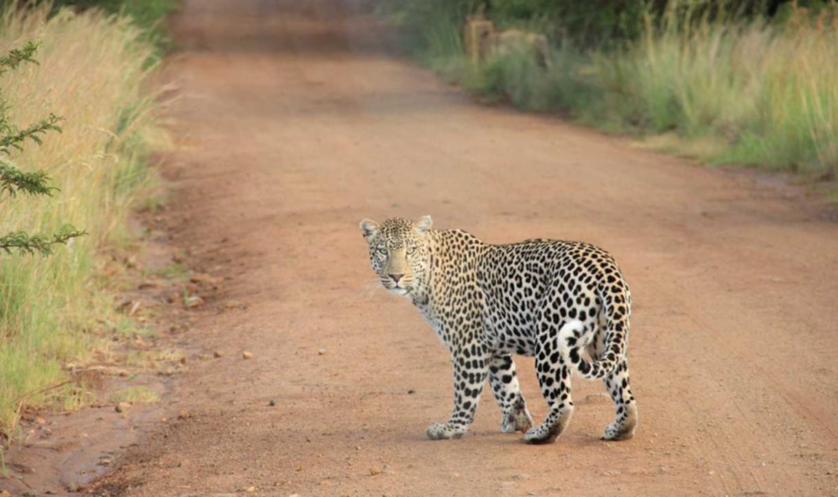 肺癌患者如何应对烟草行业？
