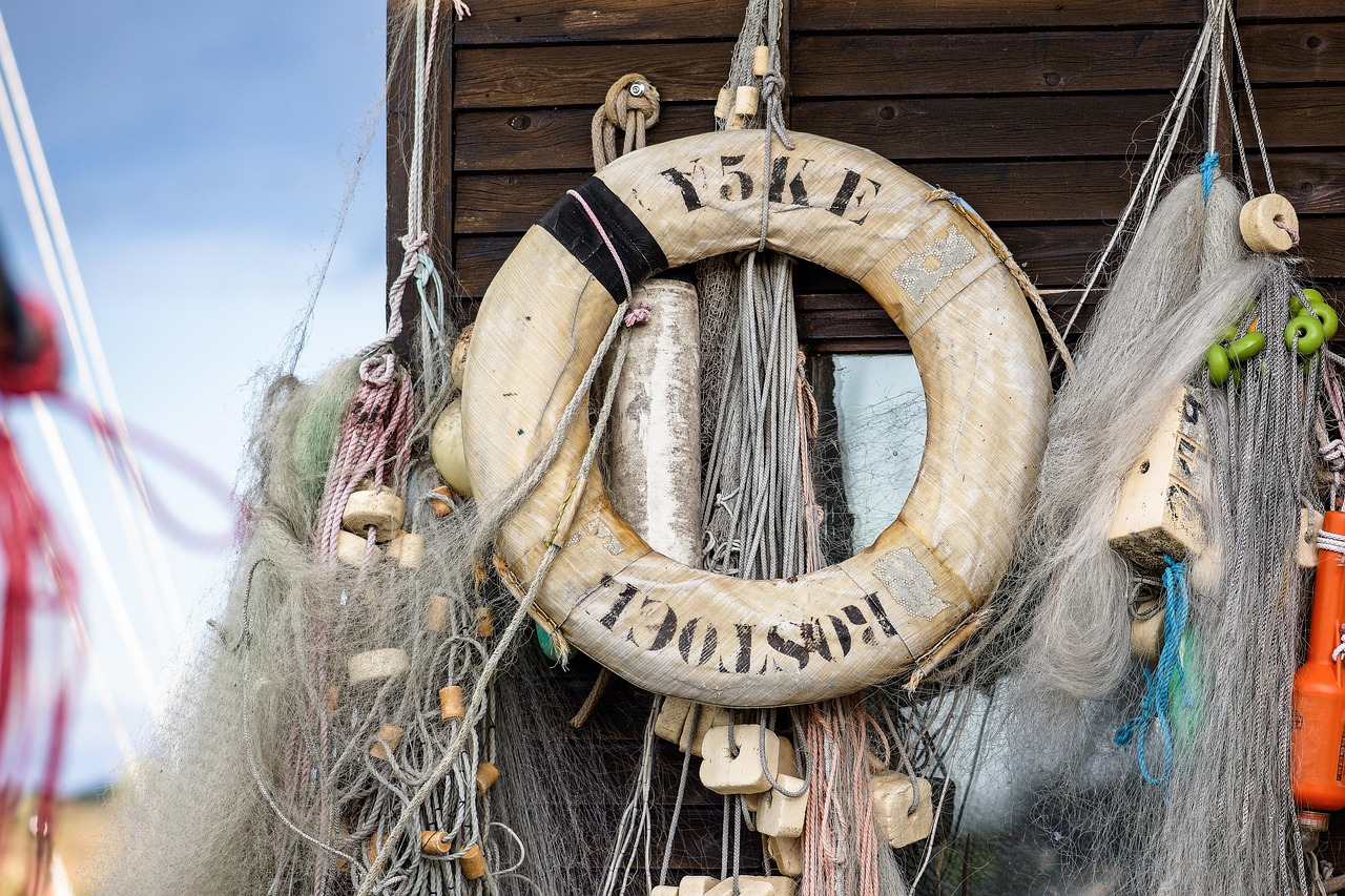 晶核CoA：掌上东大app 详情下载教程