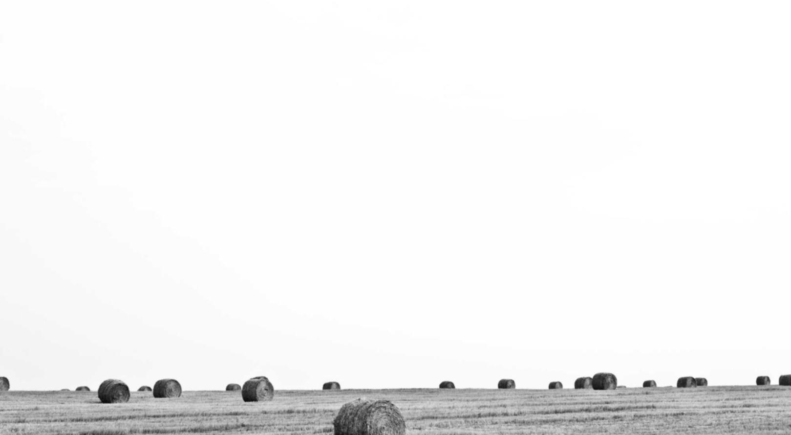 陌陌实名账号：平阳注册财务代理会计