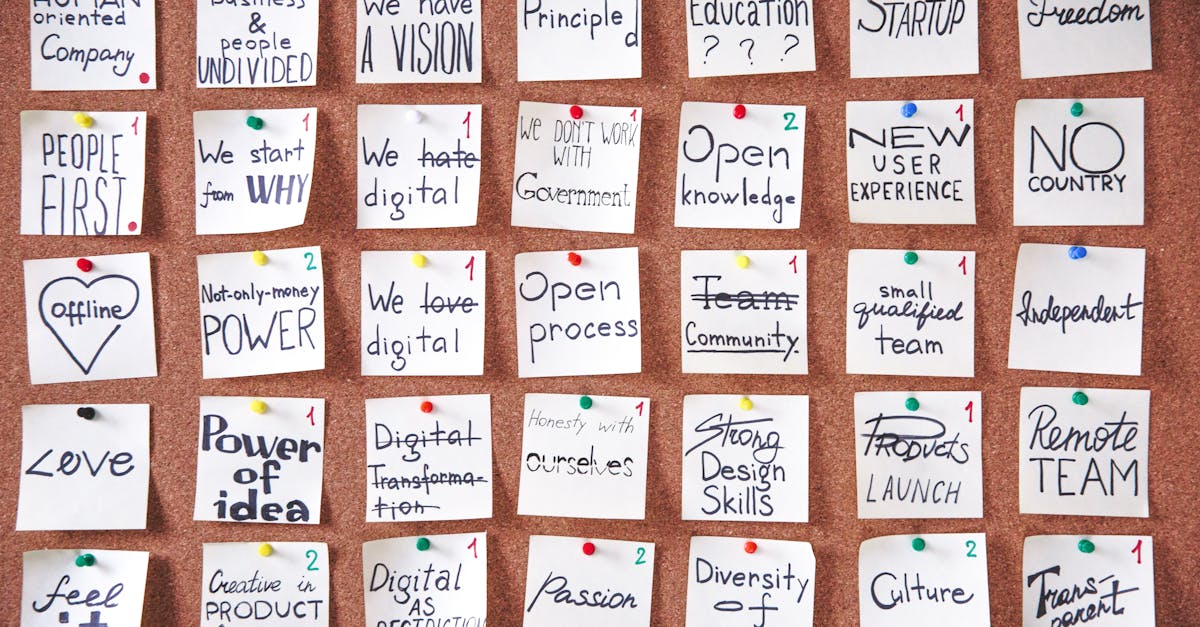 铁塔猫烟花芒果珠（细）：代理听书平台