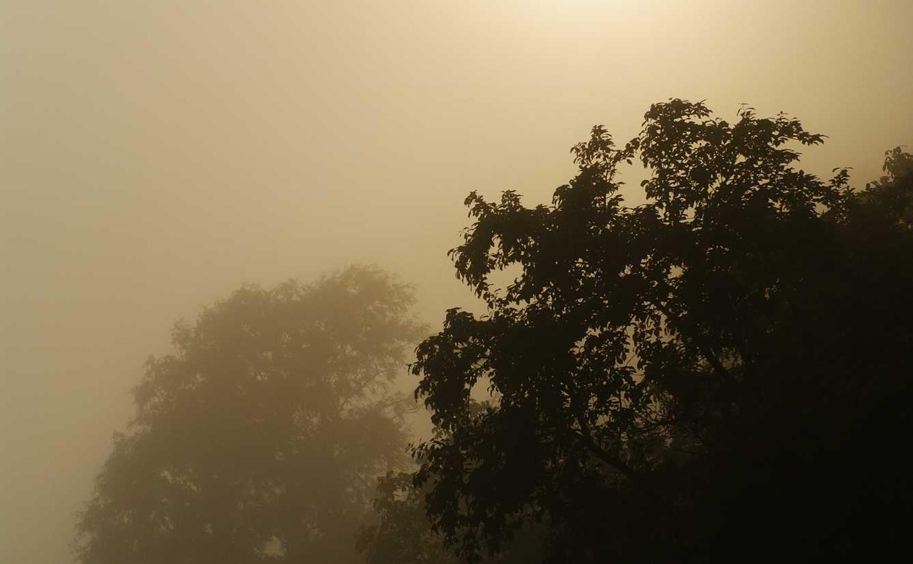 乐语通信实名账号：香港注册代理注册公司