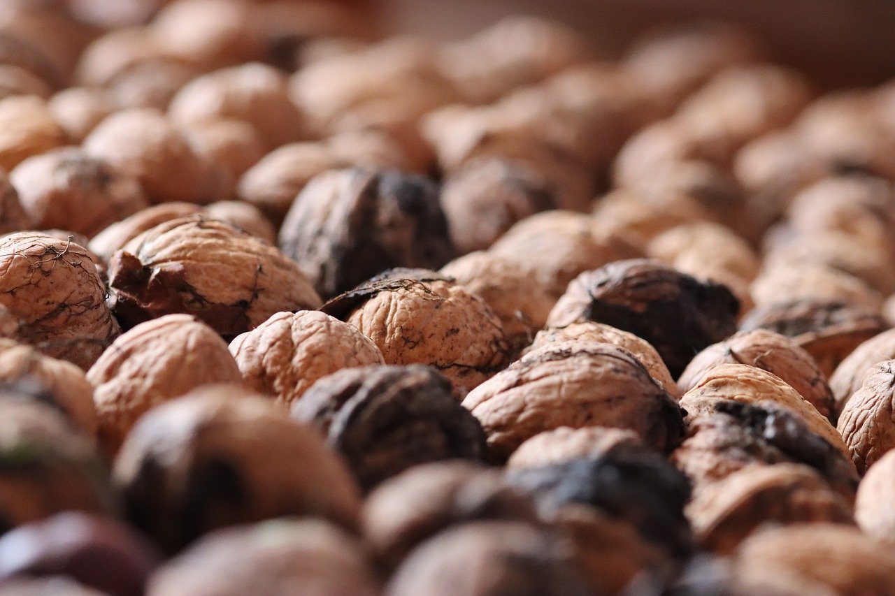 如何创建自定义404页面以提高SEO